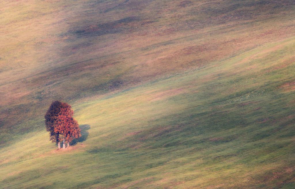 Villa Zora Bardejovské Kúpele Dış mekan fotoğraf